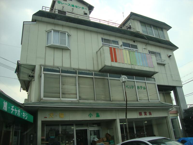 谷美鳥園