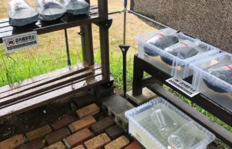 めだか藁屋