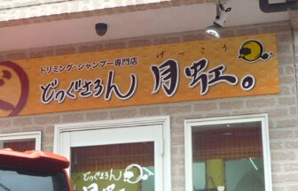 どっぐさろん月虹。