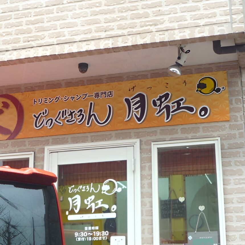 どっぐさろん月虹。