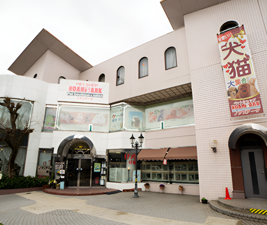 ノアズアーク山科本店